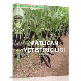 Patlıcan Yetiştiriciliği - Zir. Yük. Müh. Hüsnü Çınar Aybak