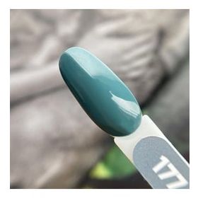 Patrisa Nail 177 8 ml Axios Premium Serisi Kalıcı Oje