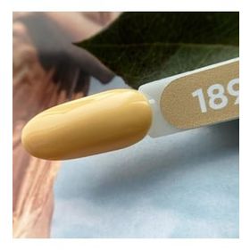 Patrisa Nail 189 8 ml Axios Premium Serisi Kalıcı Oje