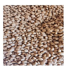 Paw Paw kuzu etli 5 kg dolumu kuzulu Köpek maması