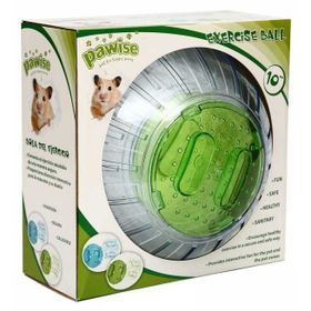 Pawise 25 cm Hamster Guineapig Egzersiz Topu