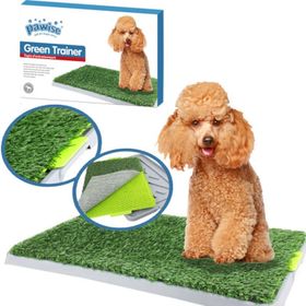 Pawise 42.5x67.5 cm Köpek Tuvalet Eğitim Yapay Çim