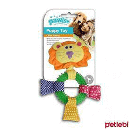 Pawise Aslan 26 cm Diş Kaşıma Yavru Köpek Oyuncağı