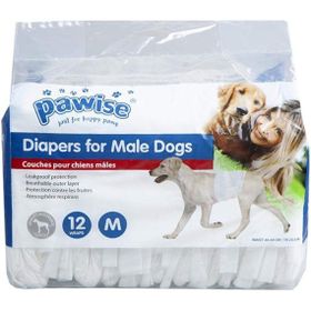 Pawise M 12'li Erkek Yavru Köpek Çiş Bezi