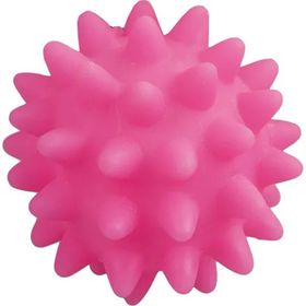 Pawise Vınyl 6 cm Dikenlı Top Oyuncak