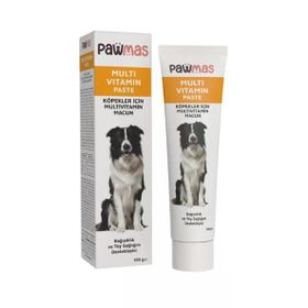 Pawmas Multivitamin 100 gr Köpek Macunu