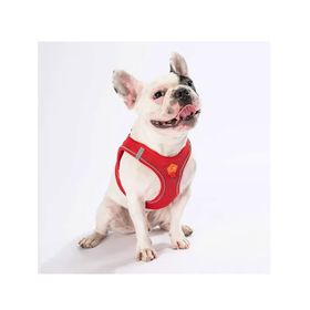 Pawstar L Red Air-Mesh Göğüs Tasması
