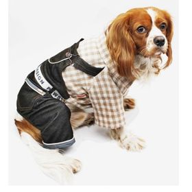 Pawstar S Kahve Ekose Bahçıvan Tulum Kedi Köpek Tulumu Kedi Köpek Kıyafeti