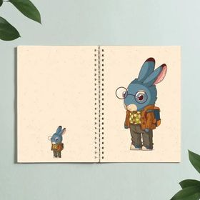 Paytak Moda PYTKDT0323 Spiralli Defter