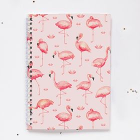 Paytak Moda PYTKDT050 Spiralli Defter