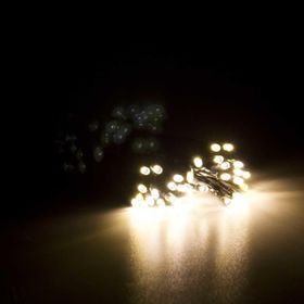 Pazarız Pilli Günışığı Yeşil Kablolu Yılbaşı 5 mt Led Işığı