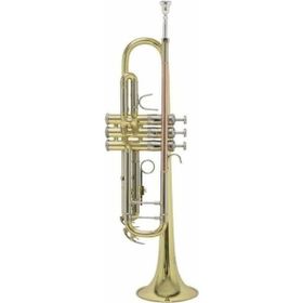 Pbone Pembe Plastik Tenor Trombon