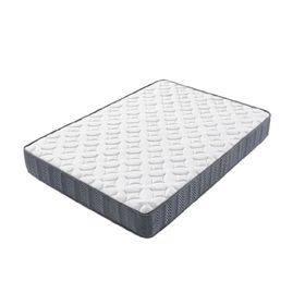 Pc Parrot Star Yaylı 90x200 cm Yatak