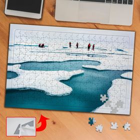 PD36 Kutuplar Buzullar 240 Parça Puzzle Yapboz Tablo