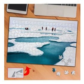 PD36 Kutuplar Buzullar 240 Parça Puzzle Yapboz Tablo