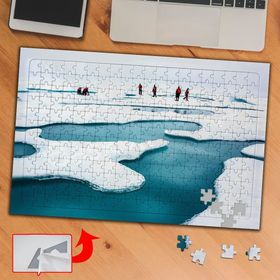 PD36 Kutuplar Buzullar 240 Parça Puzzle Yapboz Tablo