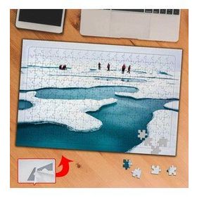 PD36 Kutuplar Buzullar 240 Parça Puzzle Yapboz Tablo