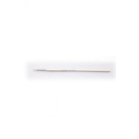 Pebeo 258R Beyaz Bristle Kıl No 8 Yuvarlak Fırça