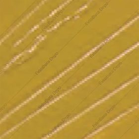 Pebeo 37 ml Yellow Ochre XL Yağlı Boya