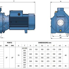 Pedrollo CP 220C TRF Tek Fanlı Santrifüj Pompa