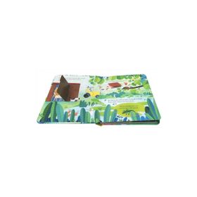 Peep Inside Animal Homes-Usborne Yayıncılık