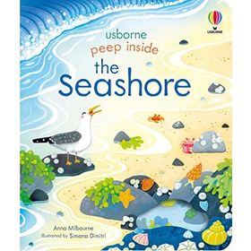 Peep Inside The Seashore-Usborne Publishing