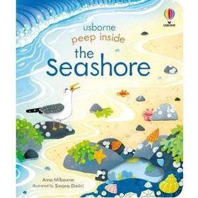 Peep Inside The Seashore-Usborne Publishing