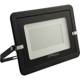 Pelsan 109305 100W 5000K Lecto Led Projektör