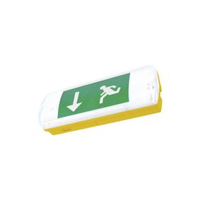 Pelsan 109710 Ausled Sıva Üstü 15W 6500K IP65 Acil Aydınlatma