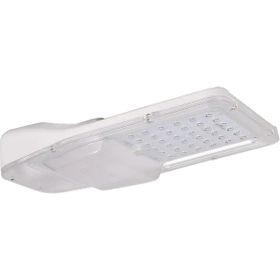 Pelsan 110610 Madrid 50W 4000K IP65 Ledli Yol Aydınlatma Armatürü