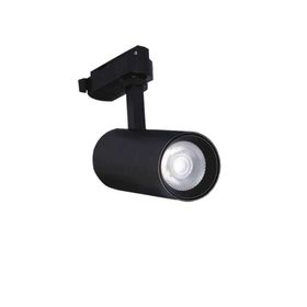 Pelsan 206509 Beta 10W 3000K IP40 Beyaz Led Ray Spot