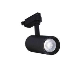 Pelsan 206509 Beta 10W 3000K IP40 Beyaz Led Ray Spot