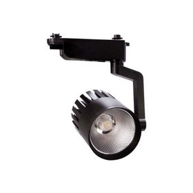 Pelsan IP40 107981 Theta 30W 4000K COB Led Ray Spot