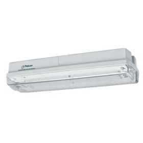 Pelsan IP65 108390 Ausled Sıva Üstü 5W 6500K Acil Aydınlatma ve Yönlendirme Armatürü