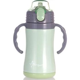 Penguen 3048 280 ml Yeşil Çelik Çift Katlı Biberon Termos