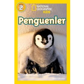 Penguenler Dünyamızı Keşfedin National Geographic Kids