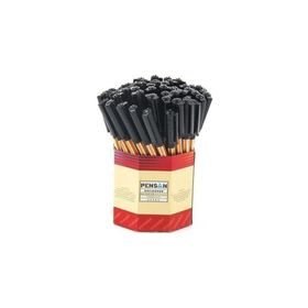 Pensan PE01010TKSI 1 mm 60 Adet Siyah Tükenmez Kalem