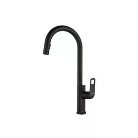 Penta 1321B Black Spiralli Siyah Evye Bataryası