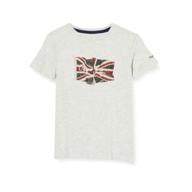 Pepe Jeans Bayrak Logolu Açık Gri Erkek T-shirt