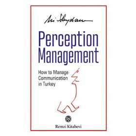 PERCEPTION MANAGEMENT - ALI SAYDAM