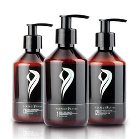 Perfect Shine Bakım Sonrası 3’lü Tuzsuz 250 ml Devam Seti