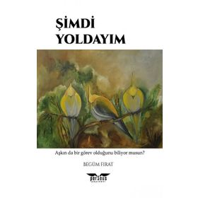 Perseus Şimdi Yoldayım