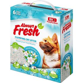 Pet Active 6 lt Always Fresh Ferah Kokulu Topaklanan Bentonit Kedi Kumu