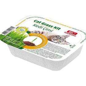 Pet Active Kedi Çimi