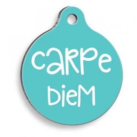 Pet Tag Art Qr Smart ID Carpe Diem Kedi ve Köpek Künyesi