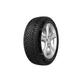 Petlas 205/55 R17 95W Multi Action PT565 Reinf. Dört Mevsim Lastiği