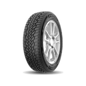 Petlas 205/60 R16 96H RF SnowMaster 2 Kış Lastiği 2025