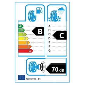 Petlas 225/55 R17 97H Snow Master W651 Kış Lastiği
