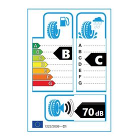 Petlas 235/40 R18 95V Snow Master W651 Reinf. Kış Lastiği