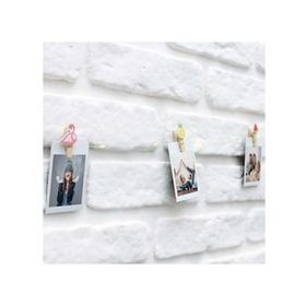 Petrix 25 Led Işık Meyveli Fotoğraf Mandalı